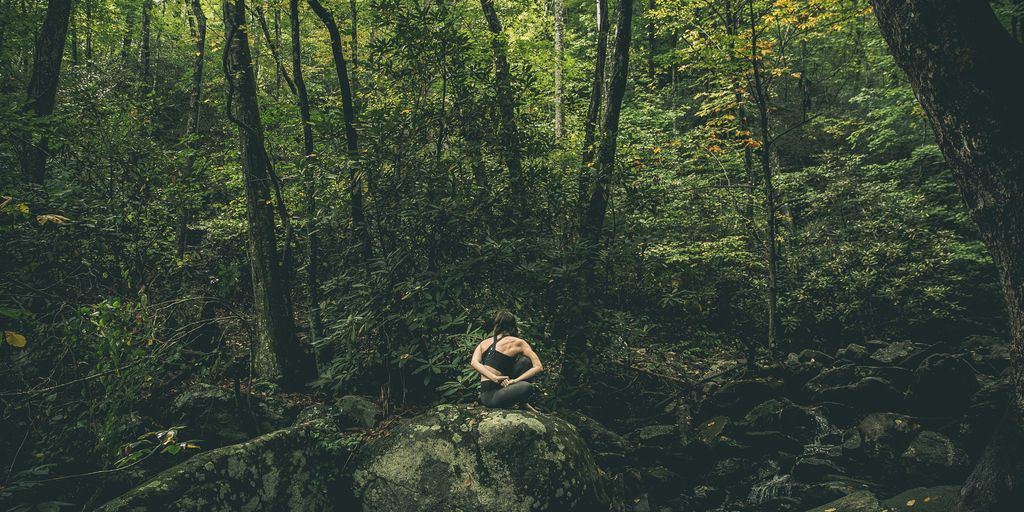 person in forest during daytime
